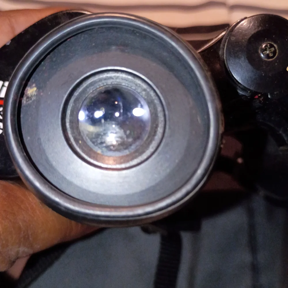 Nikon Black Binoculars